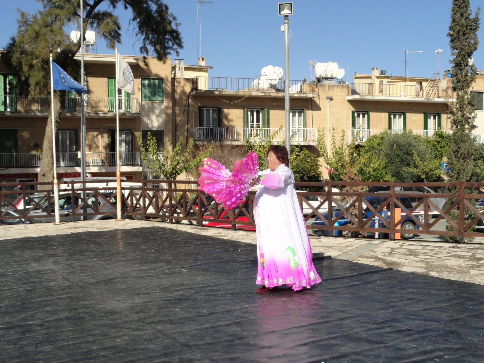 Chinese dance 1- DSC02633