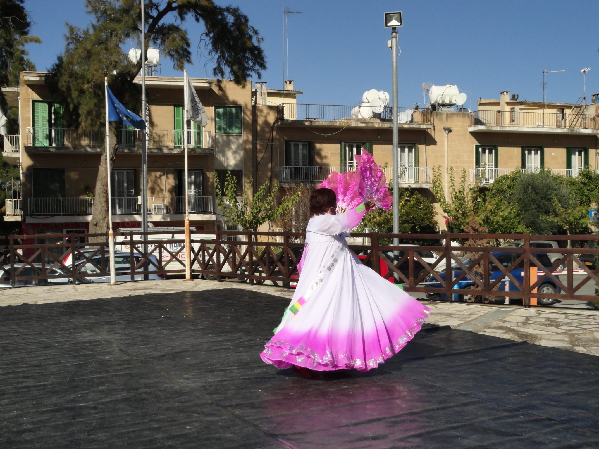 Chinese dance - DSC02630