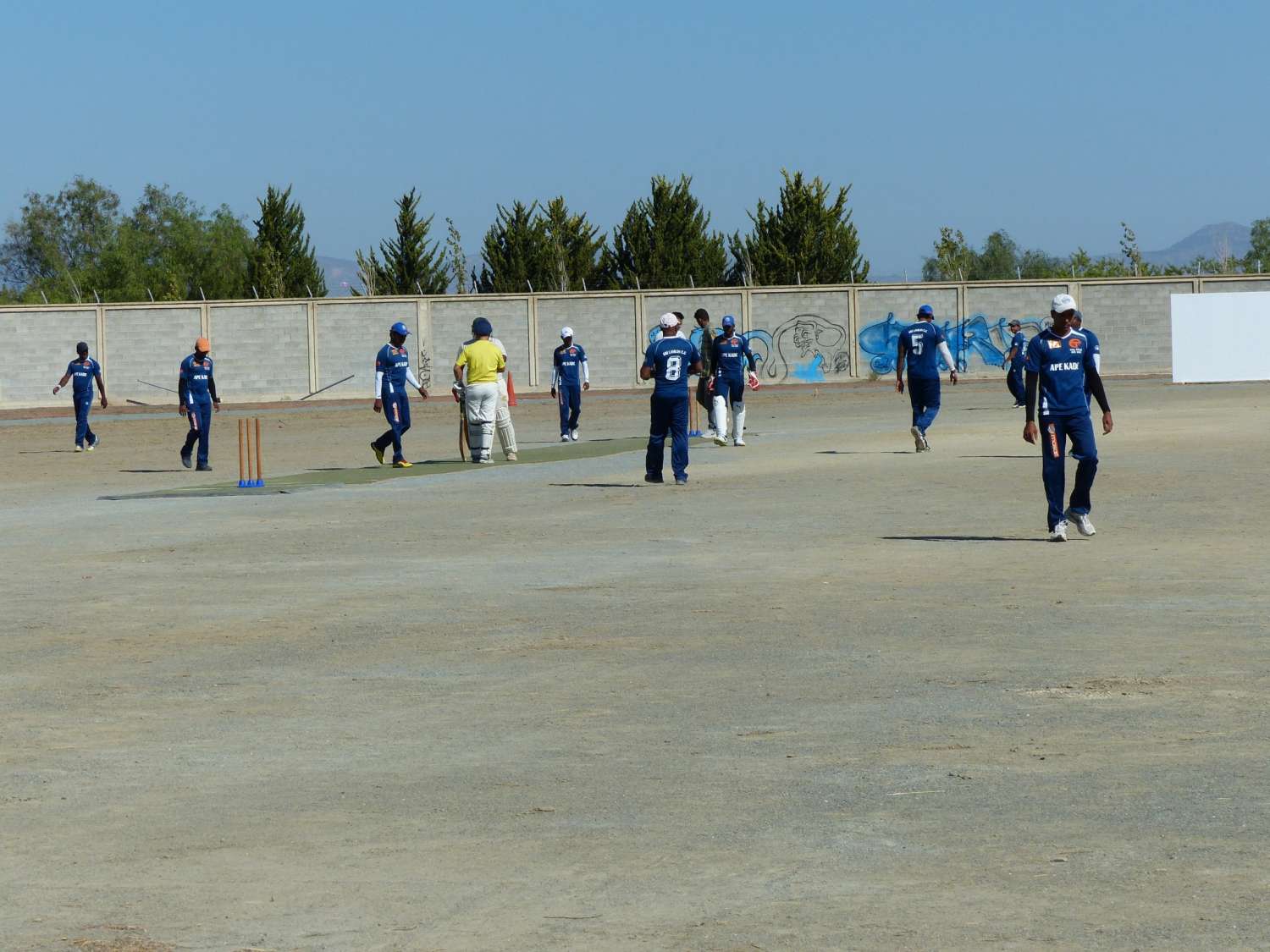 training-cricket-championship-l1060416