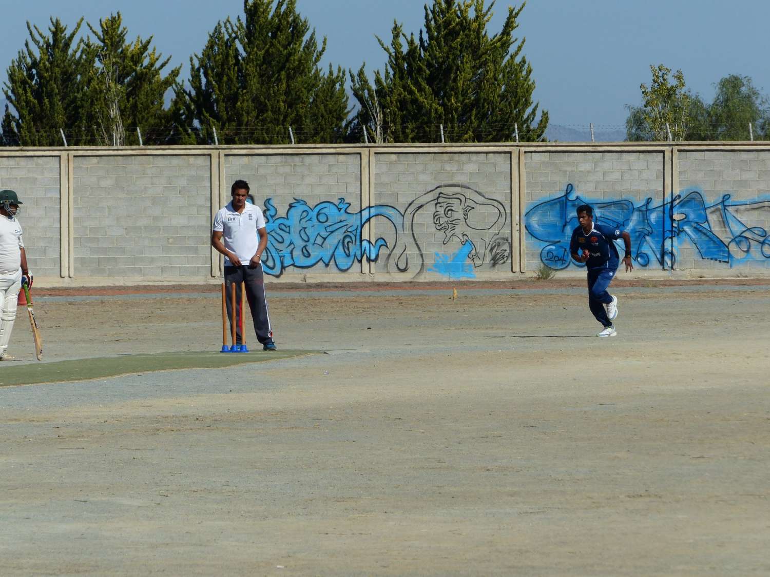 training-cricket-championship-l1060417