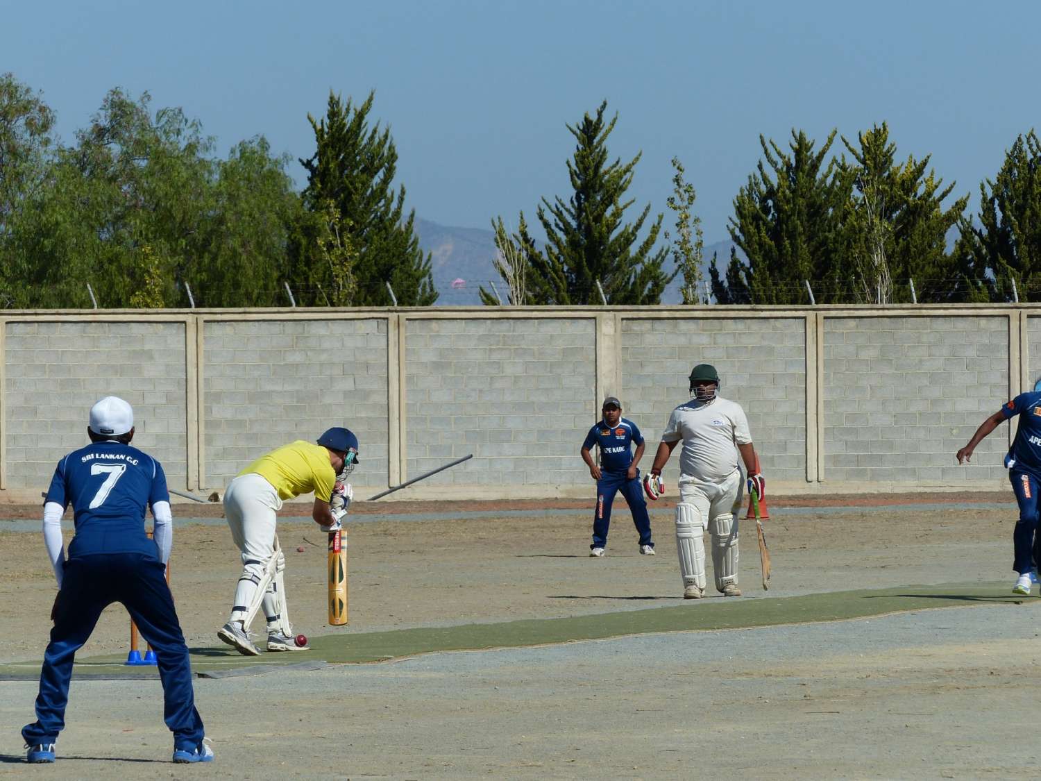 training-cricket-championship-l1060418